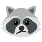 Waschbär + verwundertes Gesicht