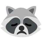 Waschbär + enttäuschtes Gesicht