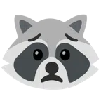 Waschbär + besorgtes Gesicht