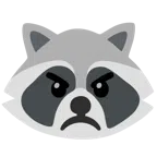 Waschbär + verärgertes Gesicht