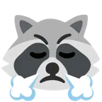 Waschbär + schnaubendes Gesicht