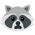 Waschbär + entsetztes Gesicht