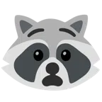 Waschbär + qualvolles Gesicht