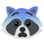 Waschbär + ängstliches Gesicht