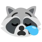 Waschbär + schläfriges Gesicht