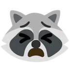 Waschbär + müdes Gesicht