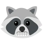 Waschbär + Grimassen schneidendes Gesicht