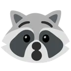 Waschbär + verdutztes Gesicht
