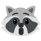 Waschbär + erstauntes Gesicht
