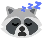 Waschbär + schlafendes Gesicht