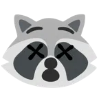 Waschbär + benommenes Gesicht