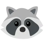 Waschbär + Gesicht ohne Mund