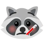 Waschbär + Gesicht mit Fieberthermometer