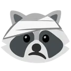 Waschbär + Gesicht mit Kopfverband