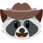 Waschbär + Gesicht mit Cowboyhut