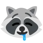 Waschbär + sabberndes Gesicht