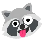 Waschbär + irres Gesicht