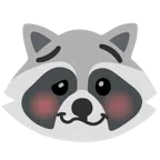 Waschbär + schwindeliges Gesicht