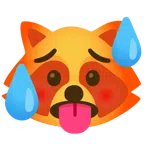 Waschbär + schwitzendes Gesicht