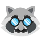 Waschbär + verkleidet