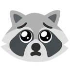 Waschbär + bettelndes Gesicht