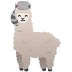 Waschbär + Lama
