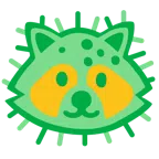 Waschbär + Mikrobe