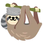 Waschbär + Faultier