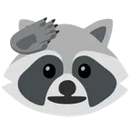 Waschbär + salutierendes Gesicht