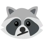Waschbär + Gesicht mit schrägem Mund