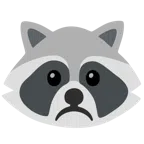 Waschbär + düsteres Gesicht