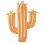 Holz + Kaktus