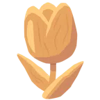 Holz + Tulpe