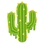 cara derritiéndose + cactus