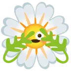 face with peeking eye + blossom