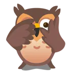 face with peeking eye + owl
