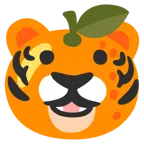 Tigergesicht + Mandarine