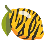 Tigergesicht + Zitrone