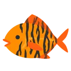 Tigergesicht + Fisch