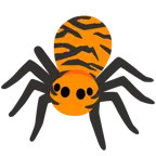 Tigergesicht + Spinne
