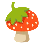 Fliegenpilz + Erdbeere