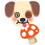 Fliegenpilz + Hundegesicht