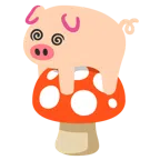 Fliegenpilz + Schweinegesicht