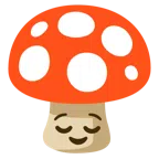 Fliegenpilz + erleichtertes Gesicht