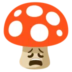 Fliegenpilz + erschöpftes Gesicht