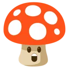 Fliegenpilz + erstauntes Gesicht