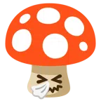 Fliegenpilz + niesendes Gesicht