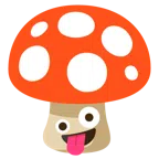 Fliegenpilz + irres Gesicht