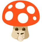Fliegenpilz + ermahnendes Gesicht