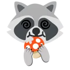 Fliegenpilz + Waschbär